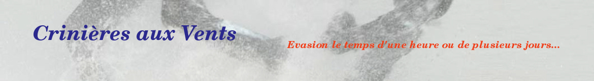 Crinières aux Vents